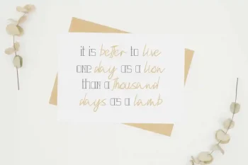 Velasquis Tamyra Font Duo