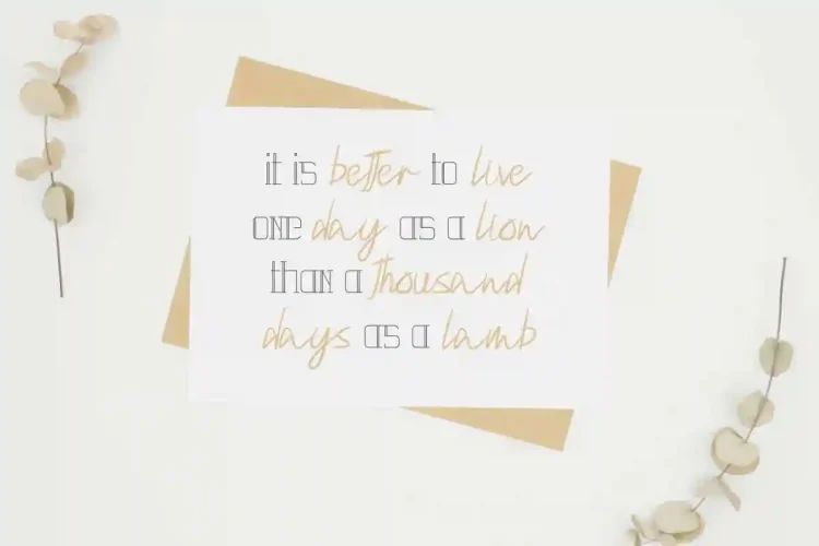 Velasquis Tamyra Font Duo