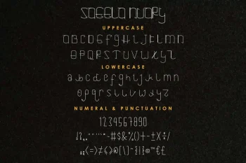 Saeela Nuary Font Duo Serif