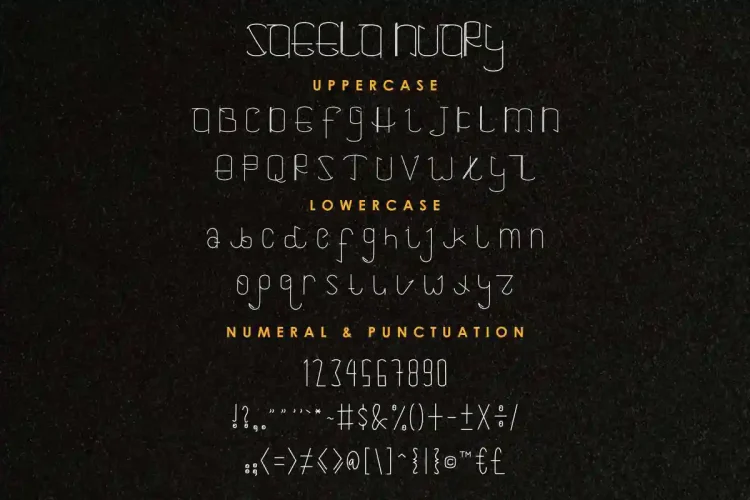 Saeela Nuary Font Duo Serif