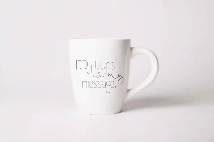Saeela Nuary Font Duo Serif