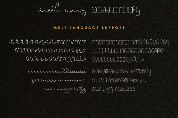 Saeela Nuary Font Duo Serif