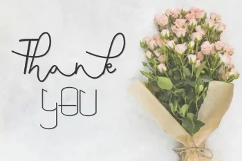 Saeela Nuary Font Duo Serif