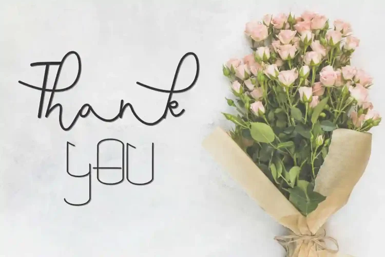 Saeela Nuary Font Duo Serif