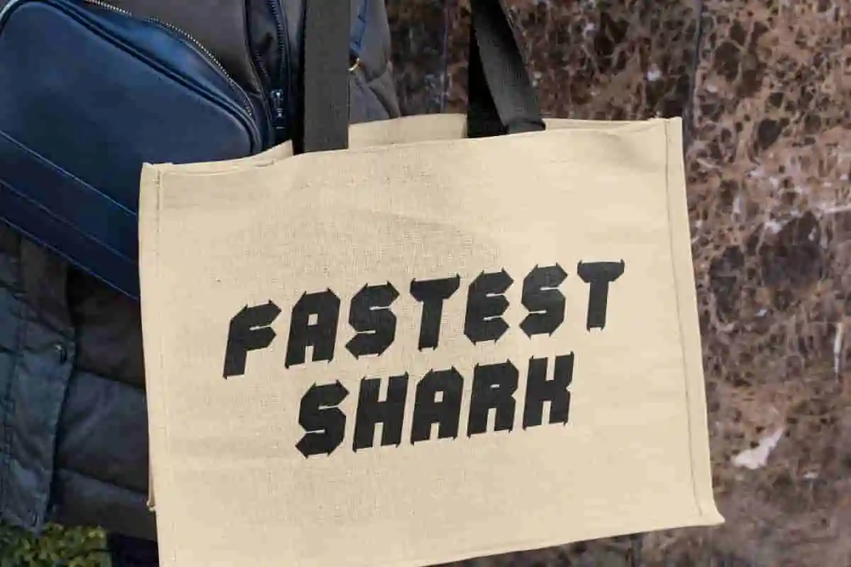Fastest Shark