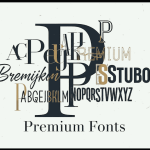 Fonts for minimalist website